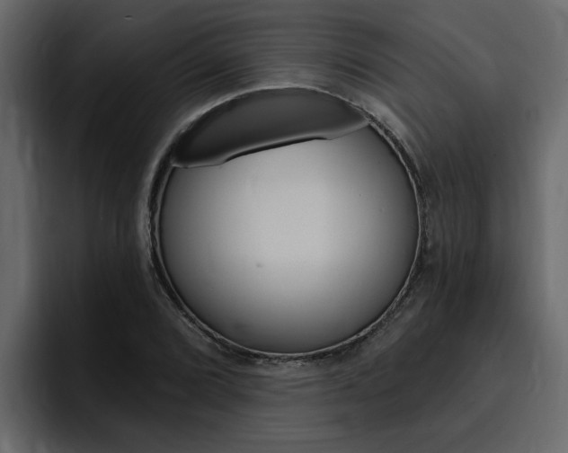 X0000095551072200712140931