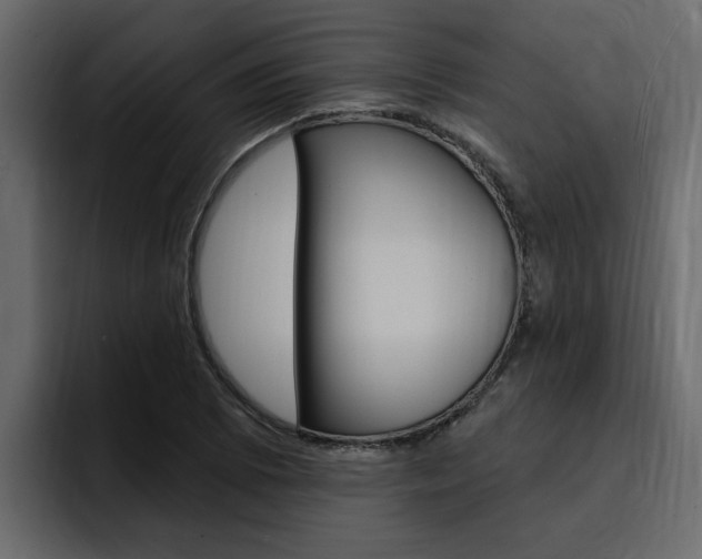 X0000095551073200712140931