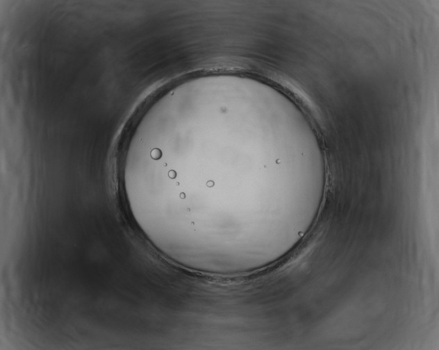 X0000095551075200712140931