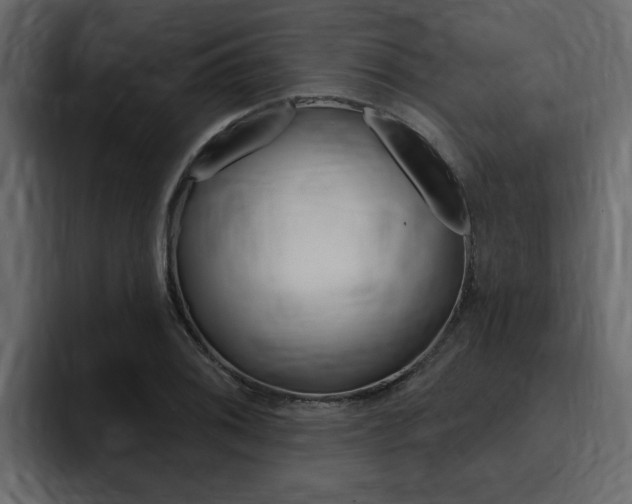 X0000095551076200712140931