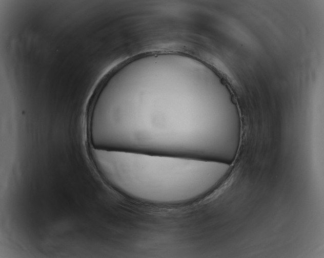 X0000095551079200712140931