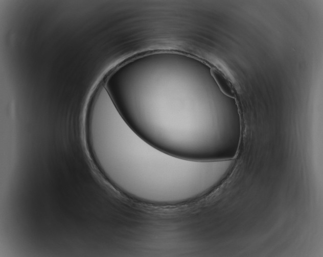 X0000095551080200712140931