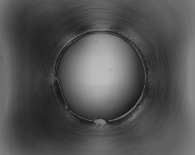 X0000095551081200712140931