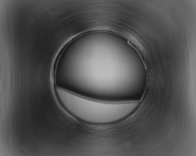 X0000095551084200712140930
