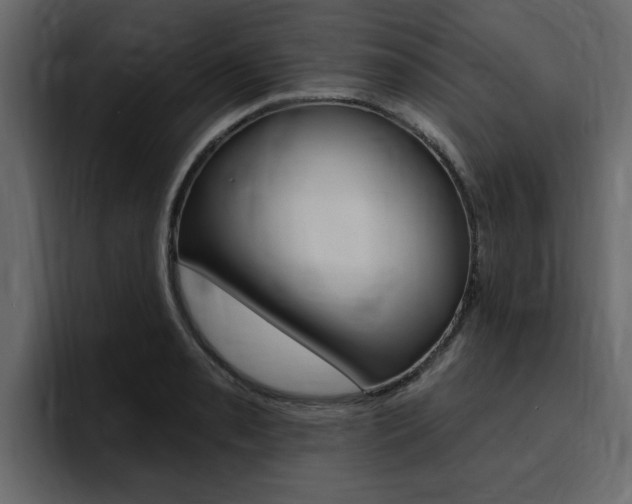 X0000095551085200712140930