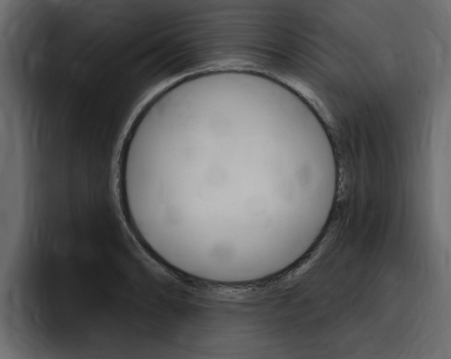 X0000095551086200712140930