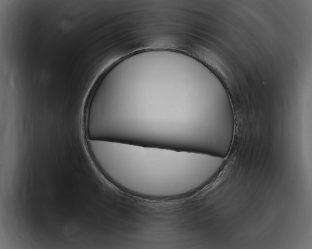 X0000095551087200712140930