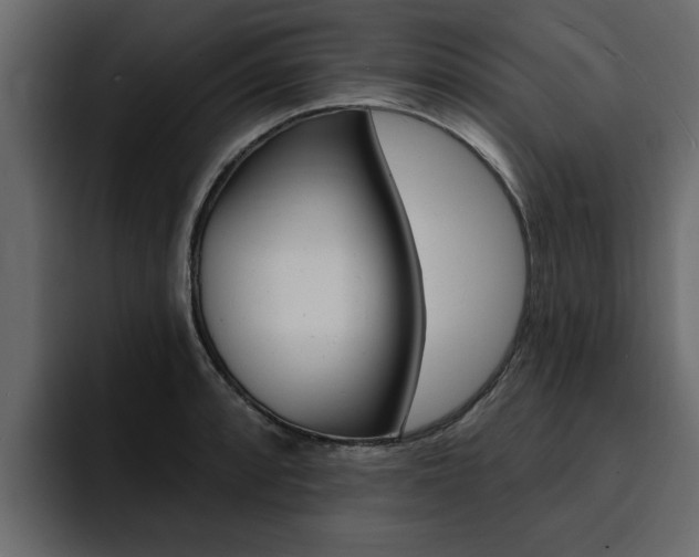 X0000095551088200712140930