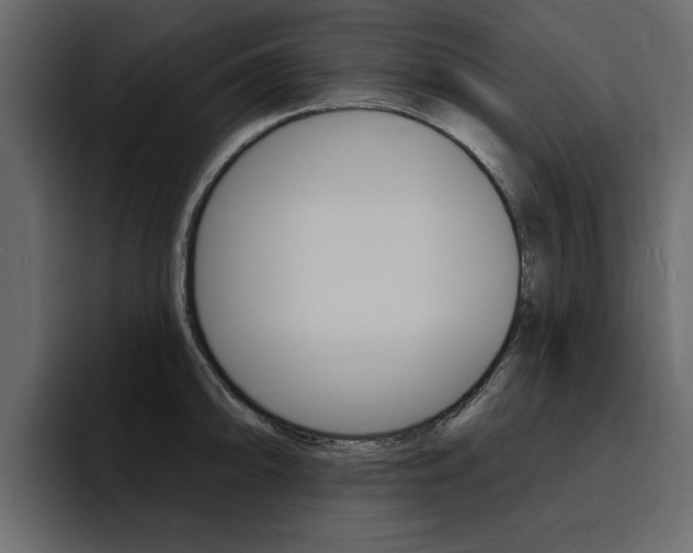X0000095551094200712140930