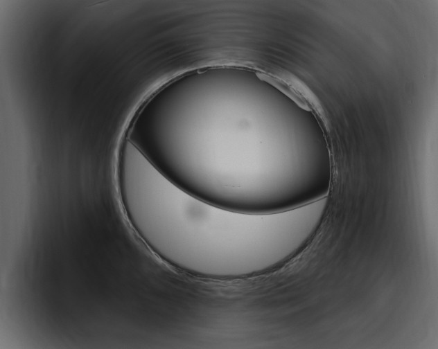 X0000095551096200712140930