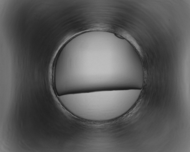 X0000095551099200712140930