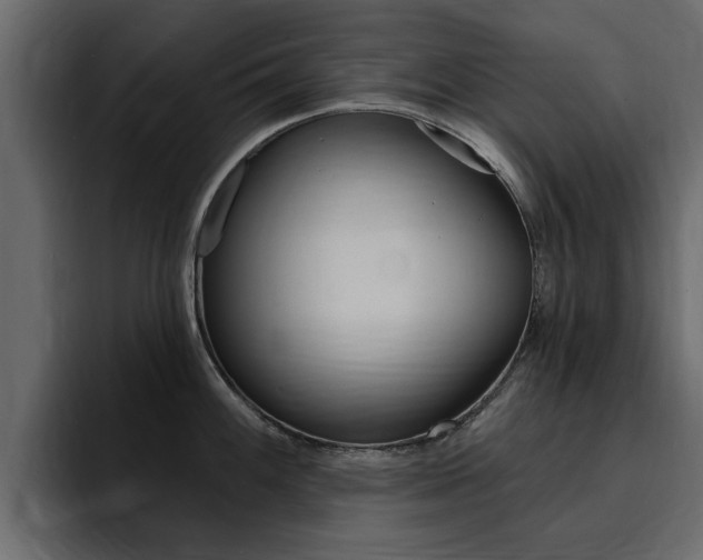 X0000095551100200712140930