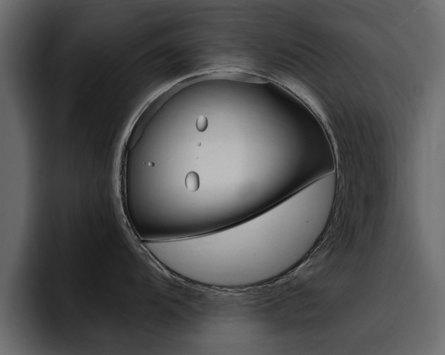 X0000095551104200712140930