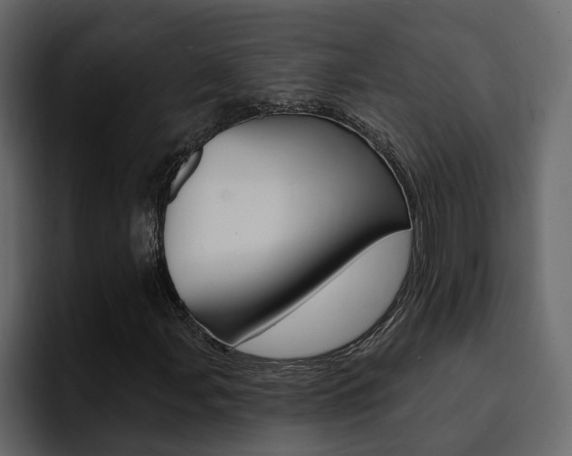 X0000095551107200712140930