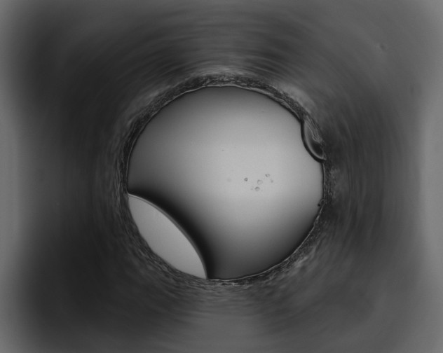 X0000095551111200712140930