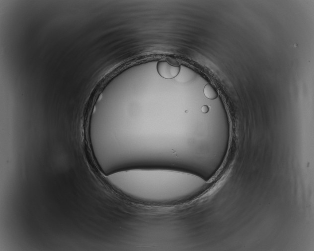 X0000095551113200712140930