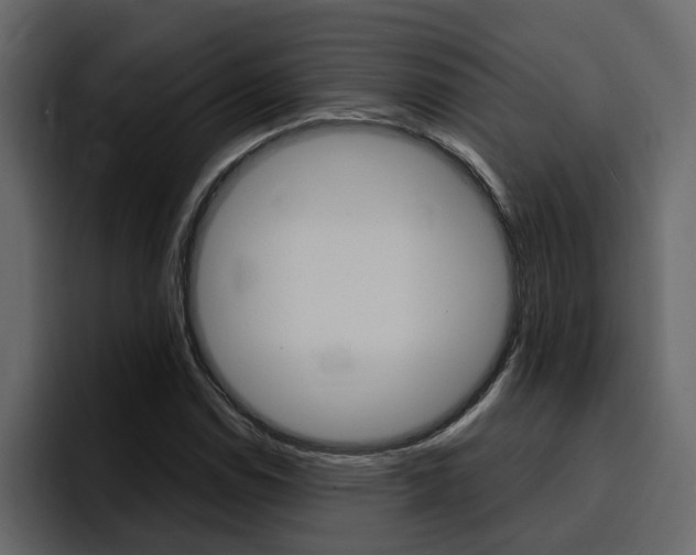 X0000095551114200712140930