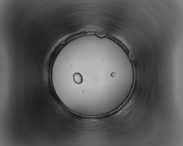 X0000095551115200712140930