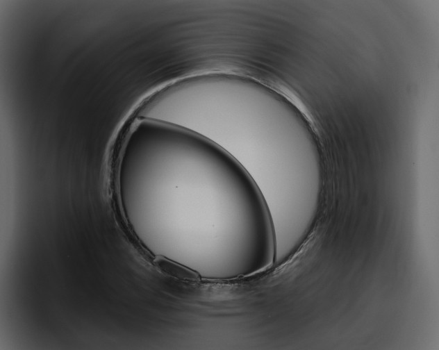 X0000095551116200712140930