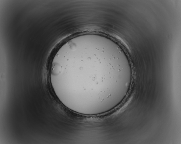 X0000095551117200712140930