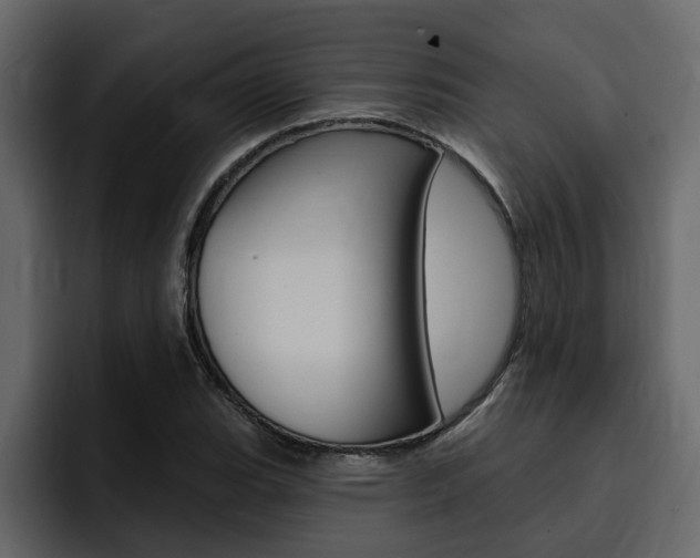 X0000095551119200712140930