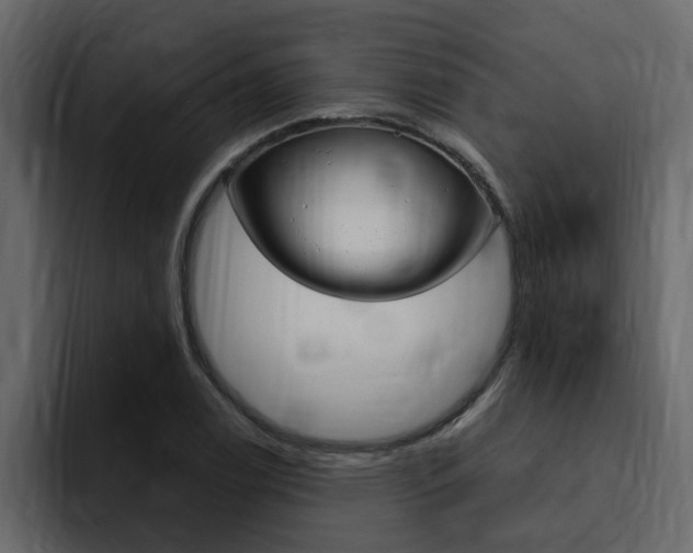 X0000095551122200712140930