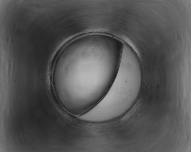 X0000095551124200712140930