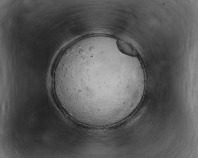 X0000095551125200712140930