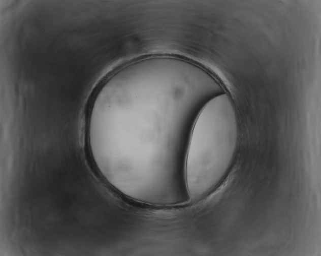 X0000095551126200712140930