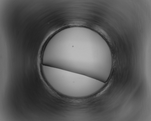 X0000095551130200712140930