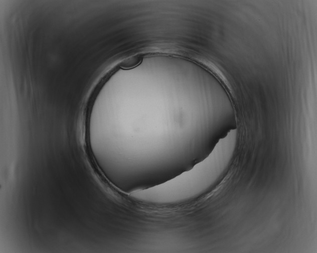 X0000095551131200712140930