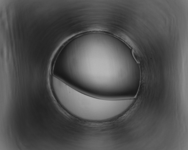 X0000095551132200712140930