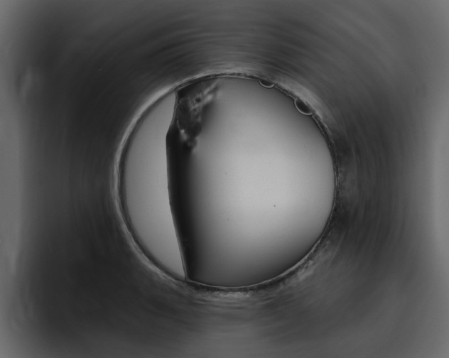 X0000095551135200712140930