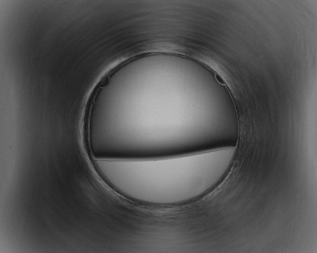 X0000095551139200712140930