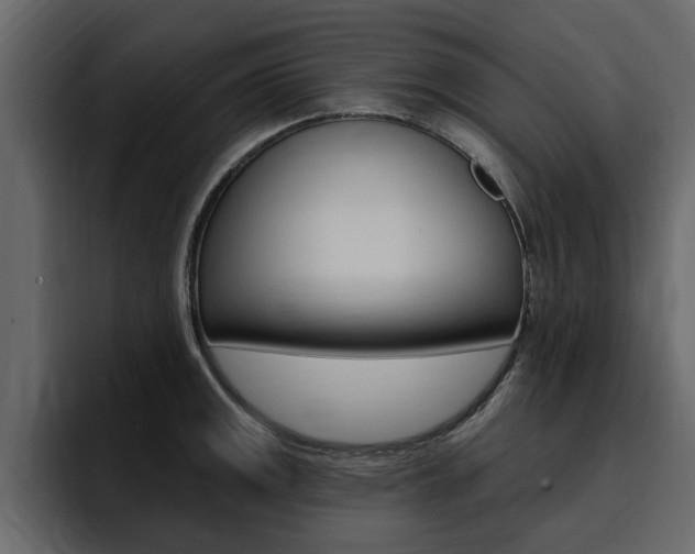 X0000095551141200712140930
