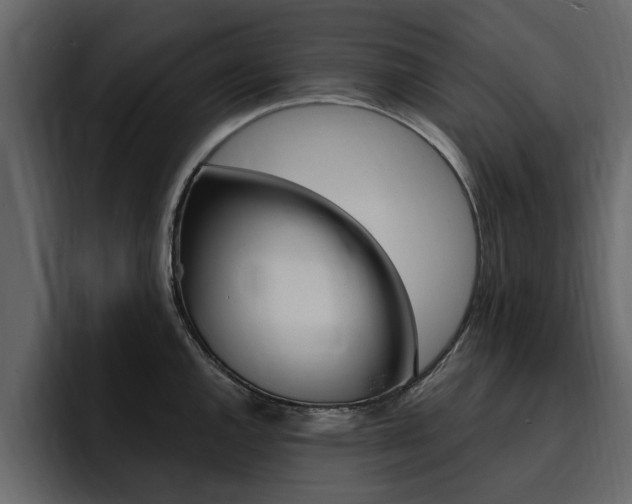 X0000095551144200712140930
