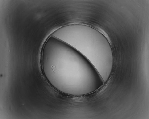 X0000095551146200712140930