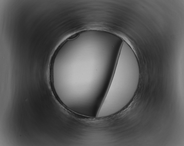 X0000095551147200712140930