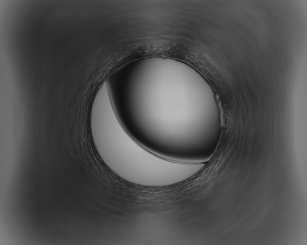 X0000095551153200712140930