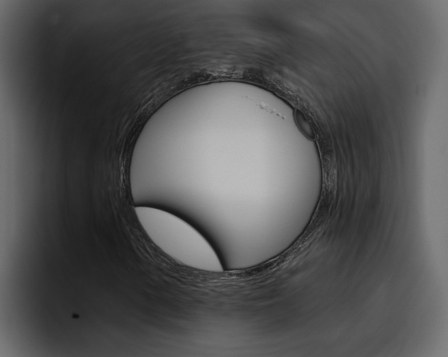 X0000095551154200712140930