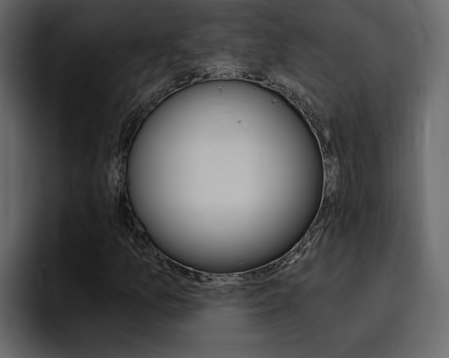 X0000095551157200712140930