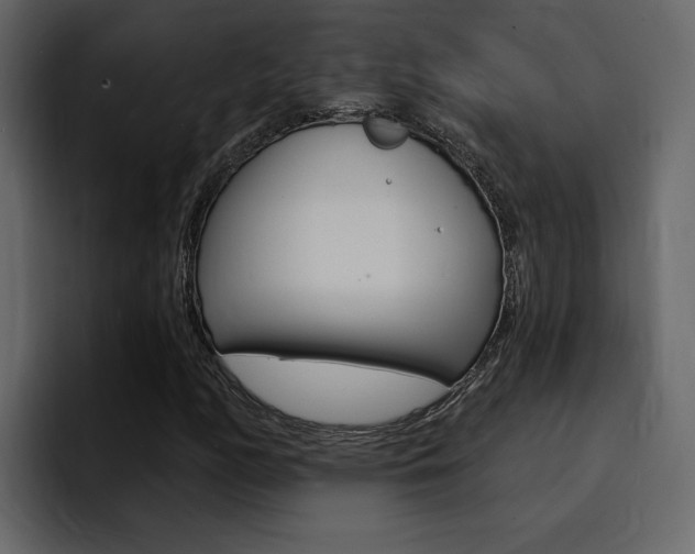 X0000095551158200712140929