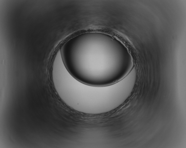 X0000095551160200712140929