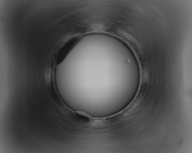 X0000095551161200712140929