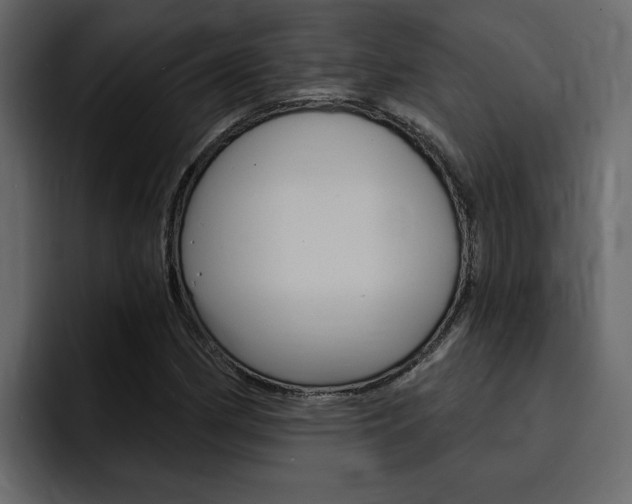 X0000095551162200712140929
