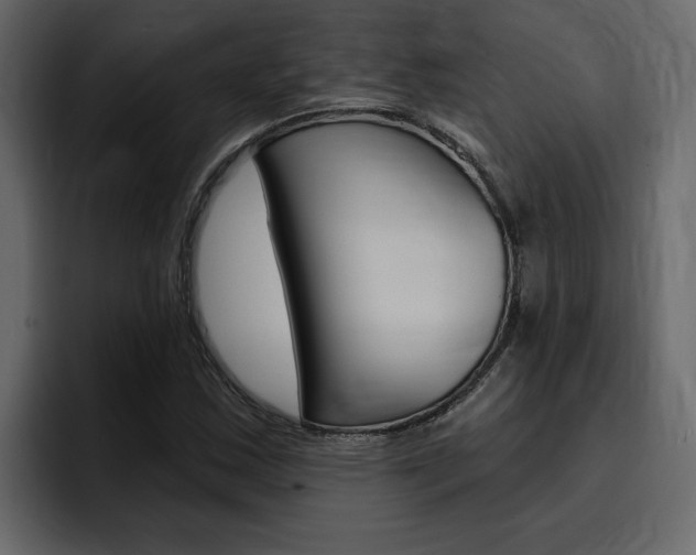 X0000095551163200712140929