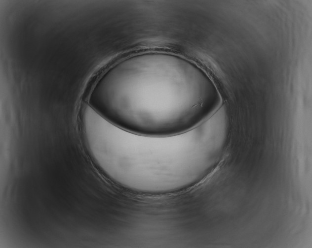 X0000095551164200712140929