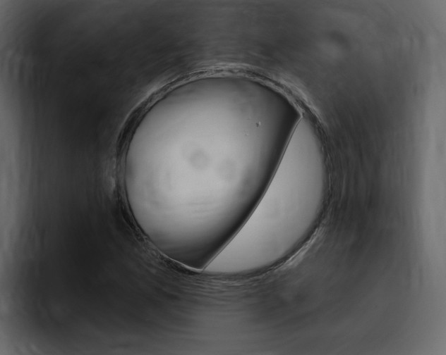 X0000095551165200712140929