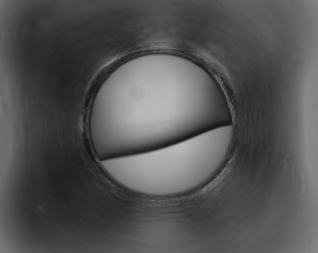 X0000095551166200712140929
