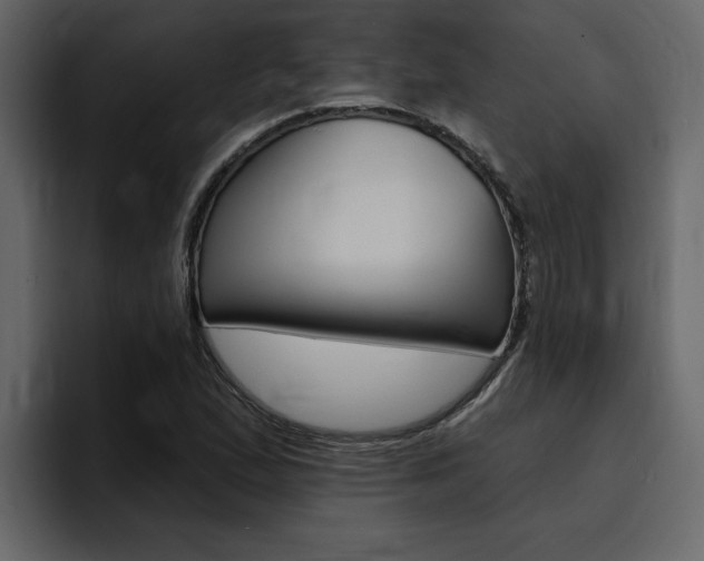 X0000095551167200712140929